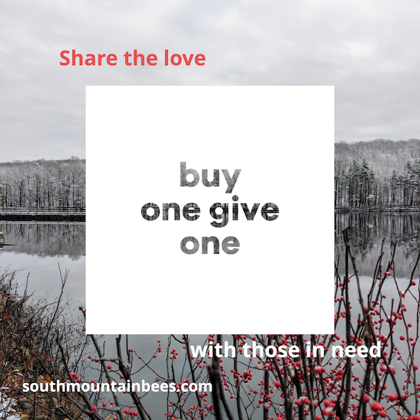 buy one give one is super imposed on the icy landscape of the reservoir in the South Mountain Reservation.