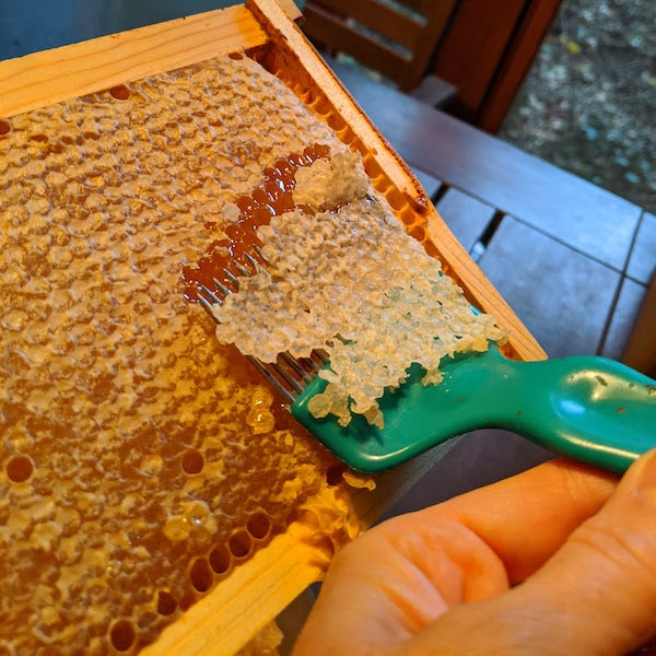 Have you ever seen how honey is harvested?