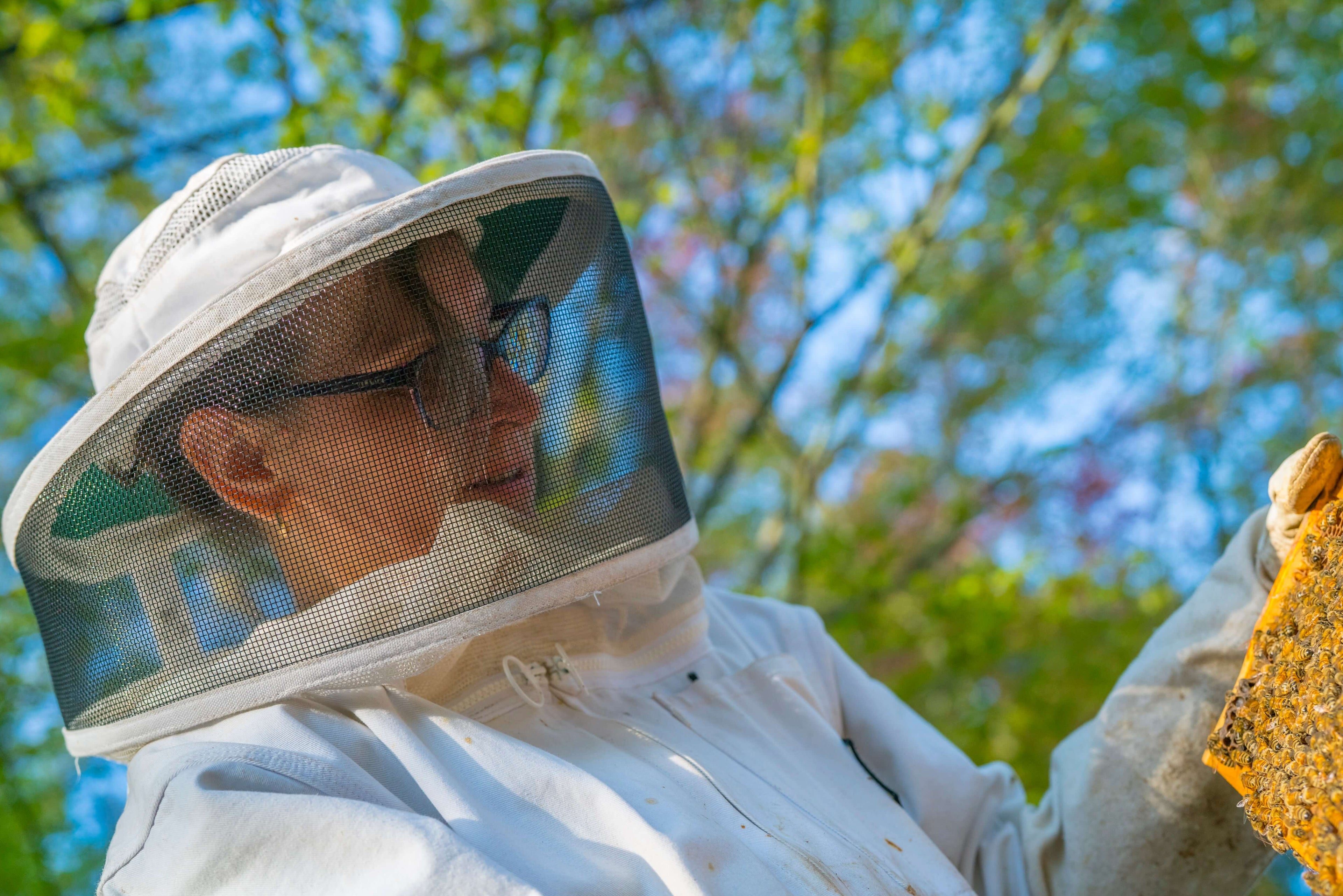 Adriana in her beekeeping suit holding a frame of honeybees.
