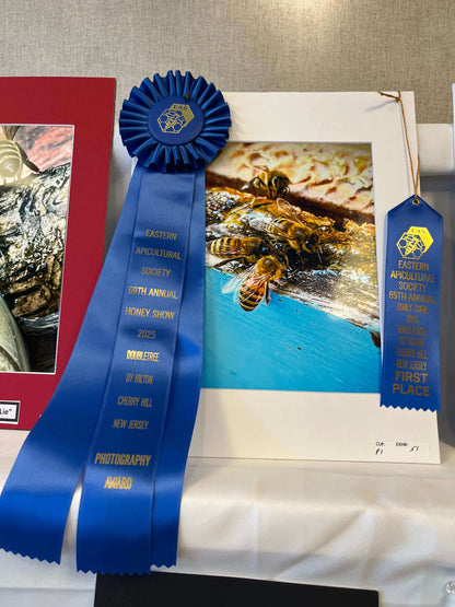 Photograph of bees inside the beehive draped with award winning ribbons.