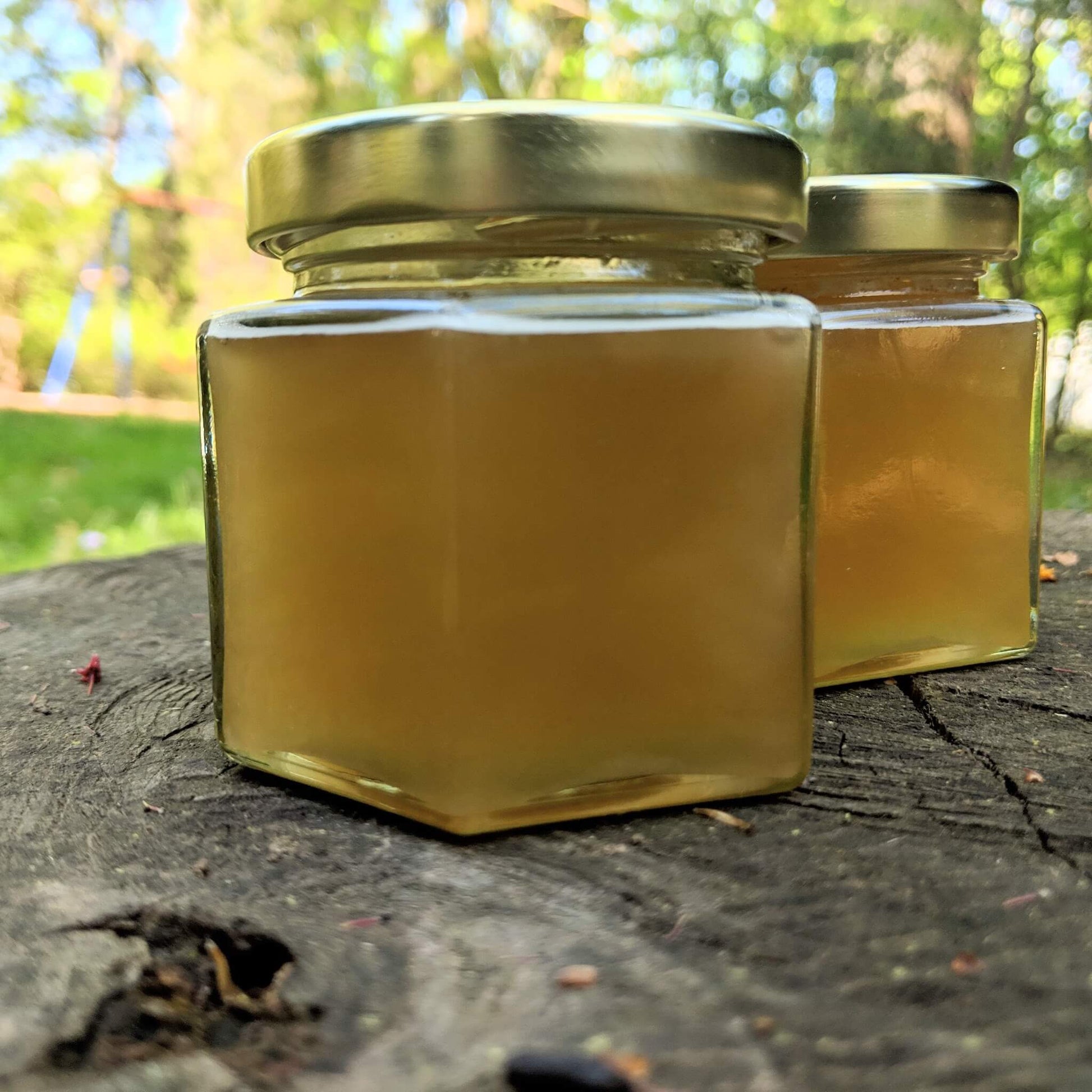 Jars of creamed honey on a tree stump.