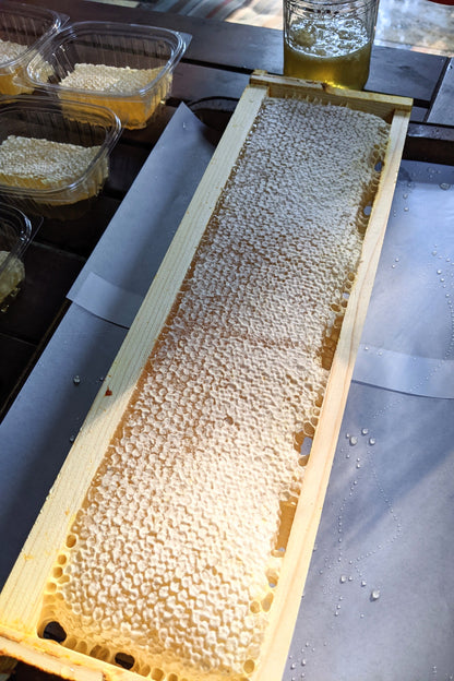 a frame of honeycomb ready to be sliced